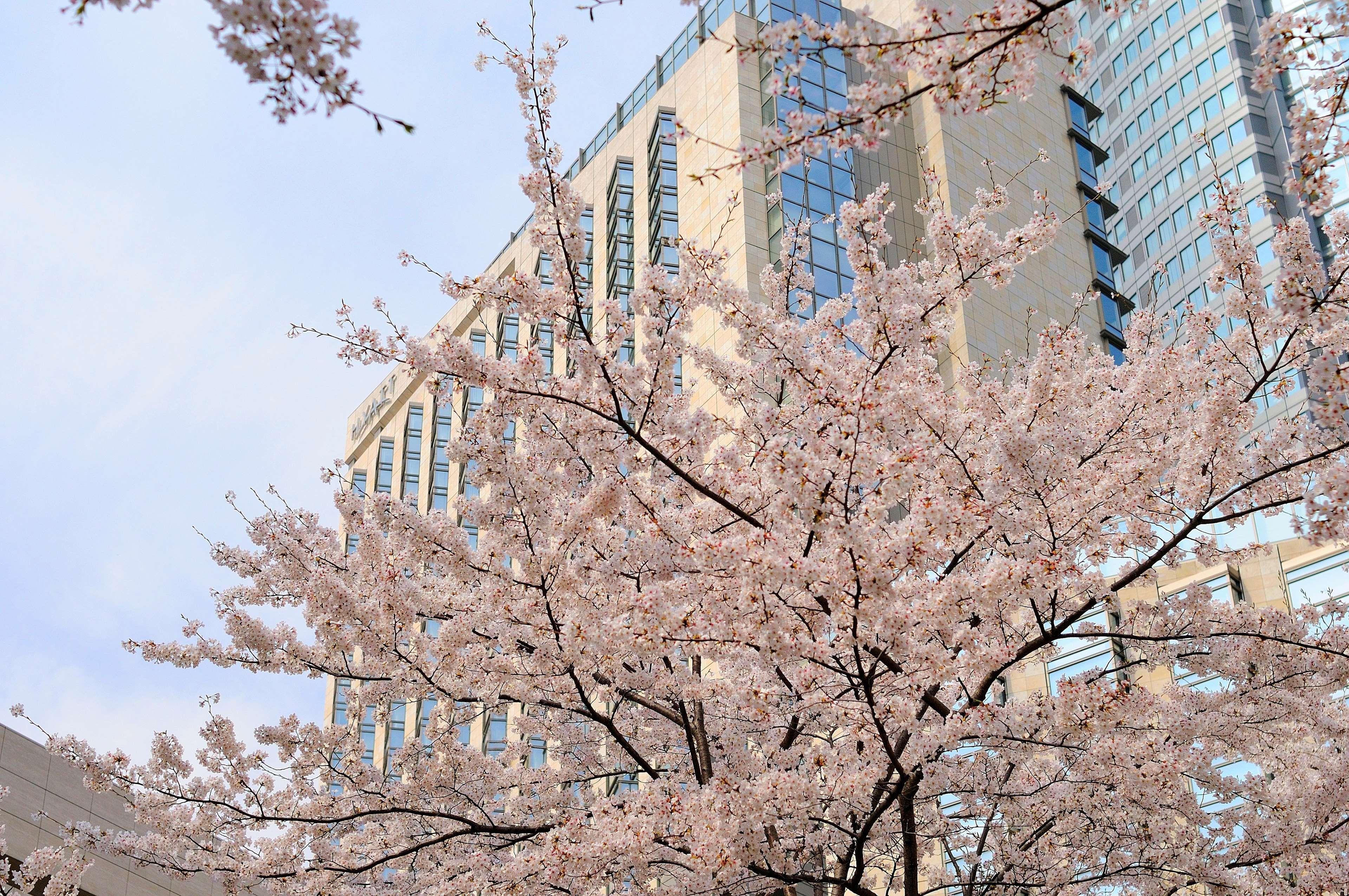 Grand Hyatt Tokyo Hotel Exterior photo